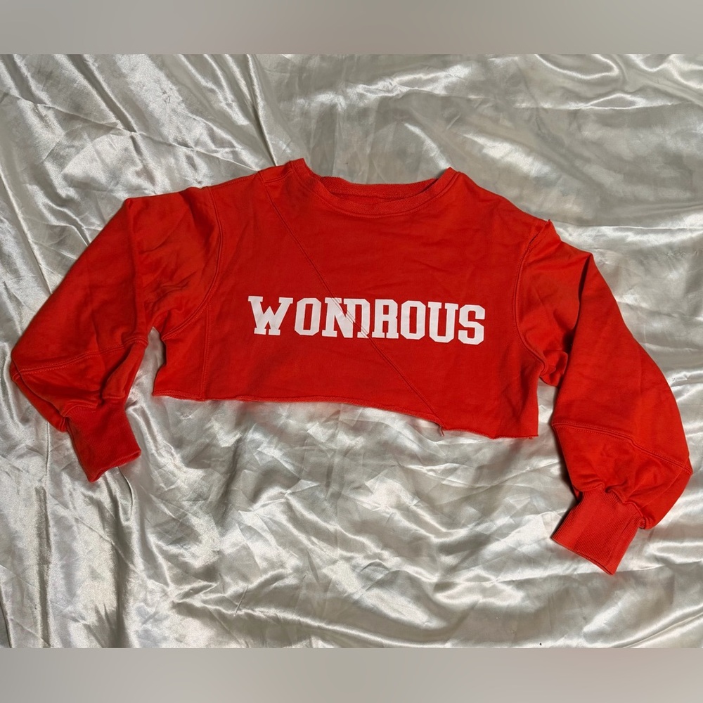 Wondrous Red-Orange Crop Top Sweater